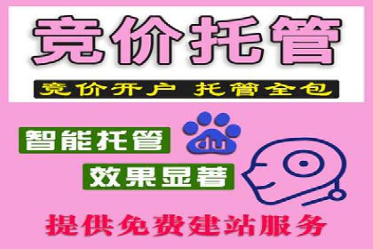 搜索引擎营销（SEM）在旅游行业的推广案例